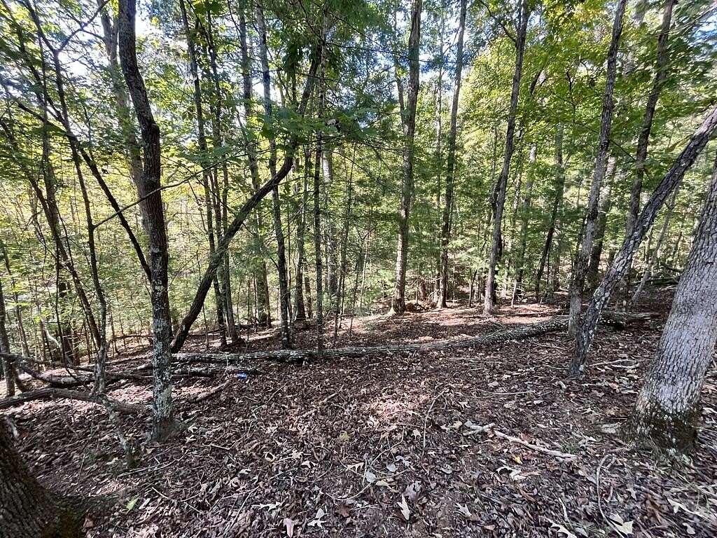 0.72 Acres of Residential Land for Sale in Ellijay, Georgia