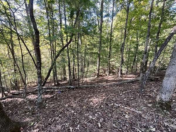 0.72 Acres of Residential Land for Sale in Ellijay, Georgia