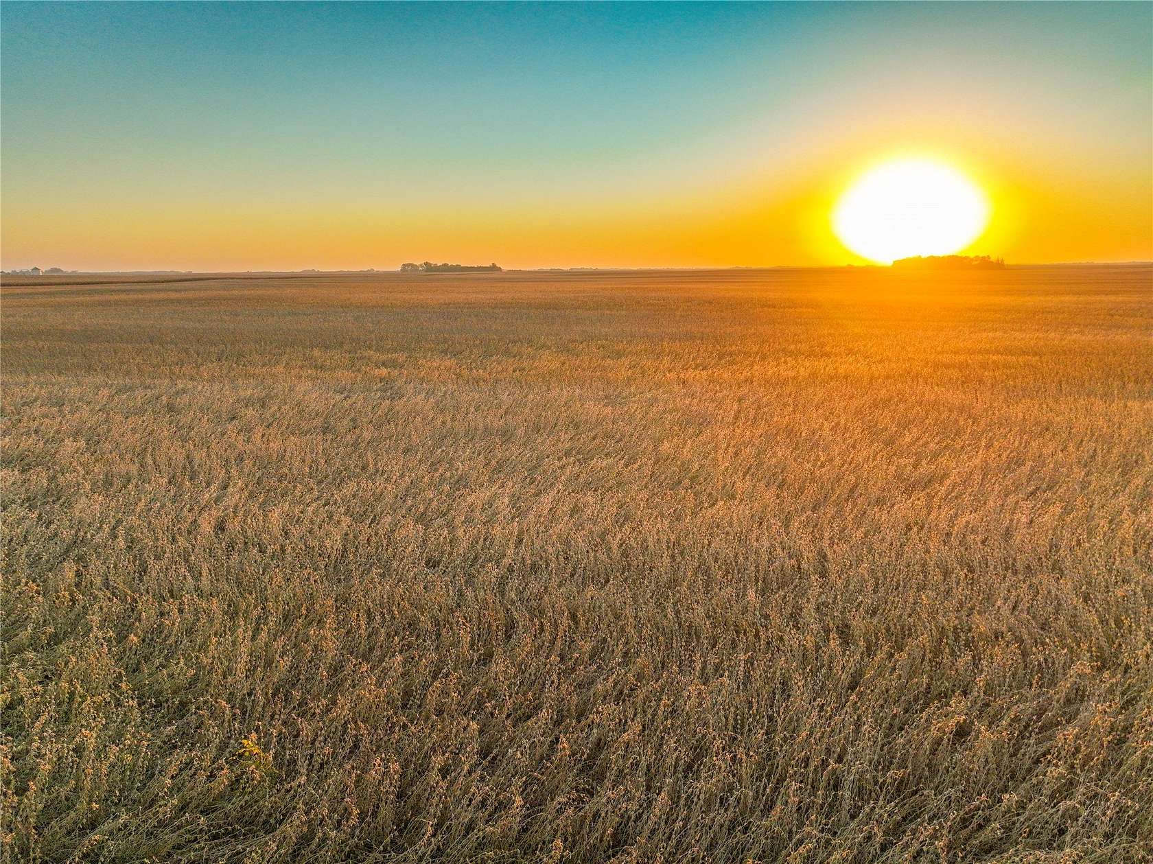 160 Acres of Agricultural Land for Auction in Algona, Iowa