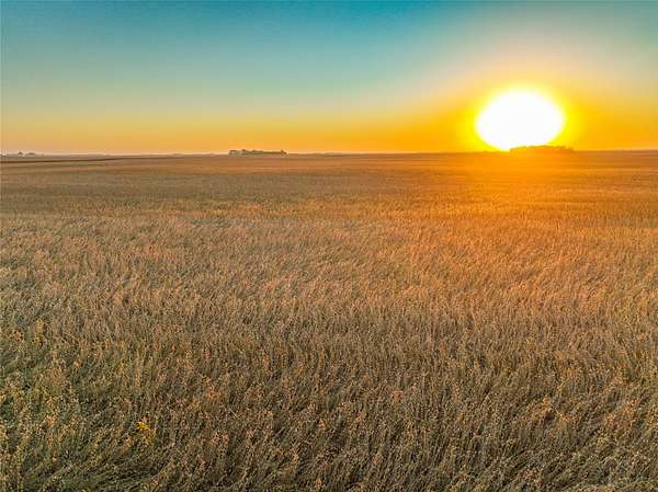 160 Acres of Agricultural Land for Auction in Algona, Iowa
