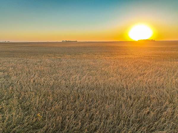 160 Acres of Land for Auction in Algona, Iowa
