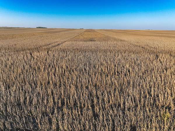 160 Acres of Land for Auction in Algona, Iowa