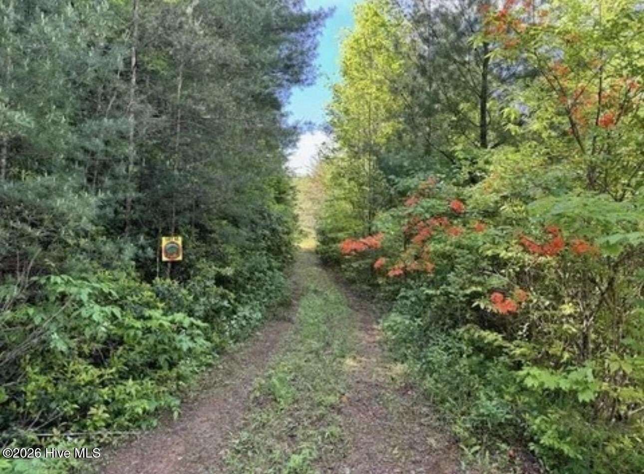 1.45 Acres of Residential Land for Sale in Marble, North Carolina