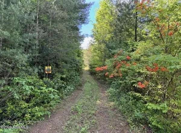 1.45 Acres of Residential Land for Sale in Marble, North Carolina