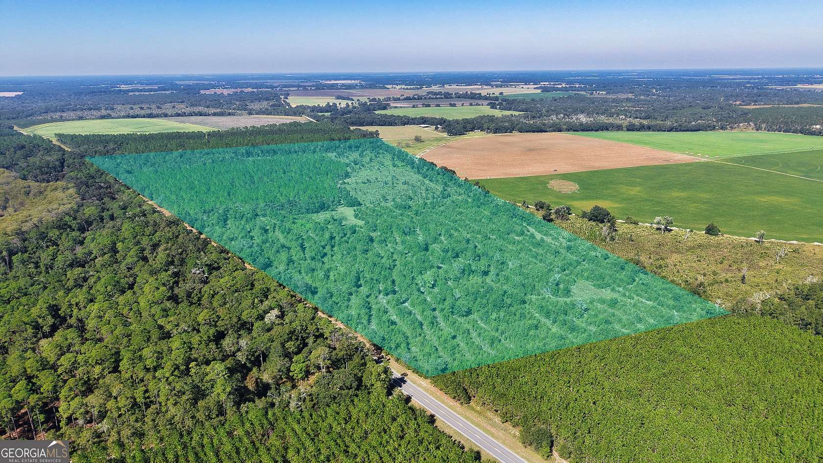 11 Acres of Recreational & Residential Land for Sale in Climax, Georgia