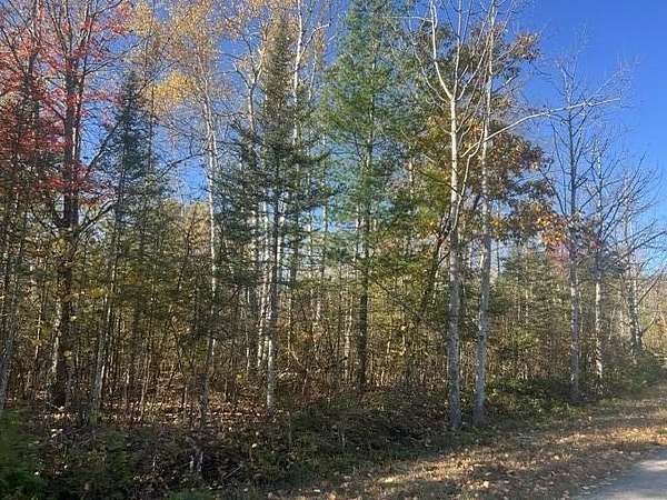 0.4 Acres of Land for Sale in Presque Isle, Michigan