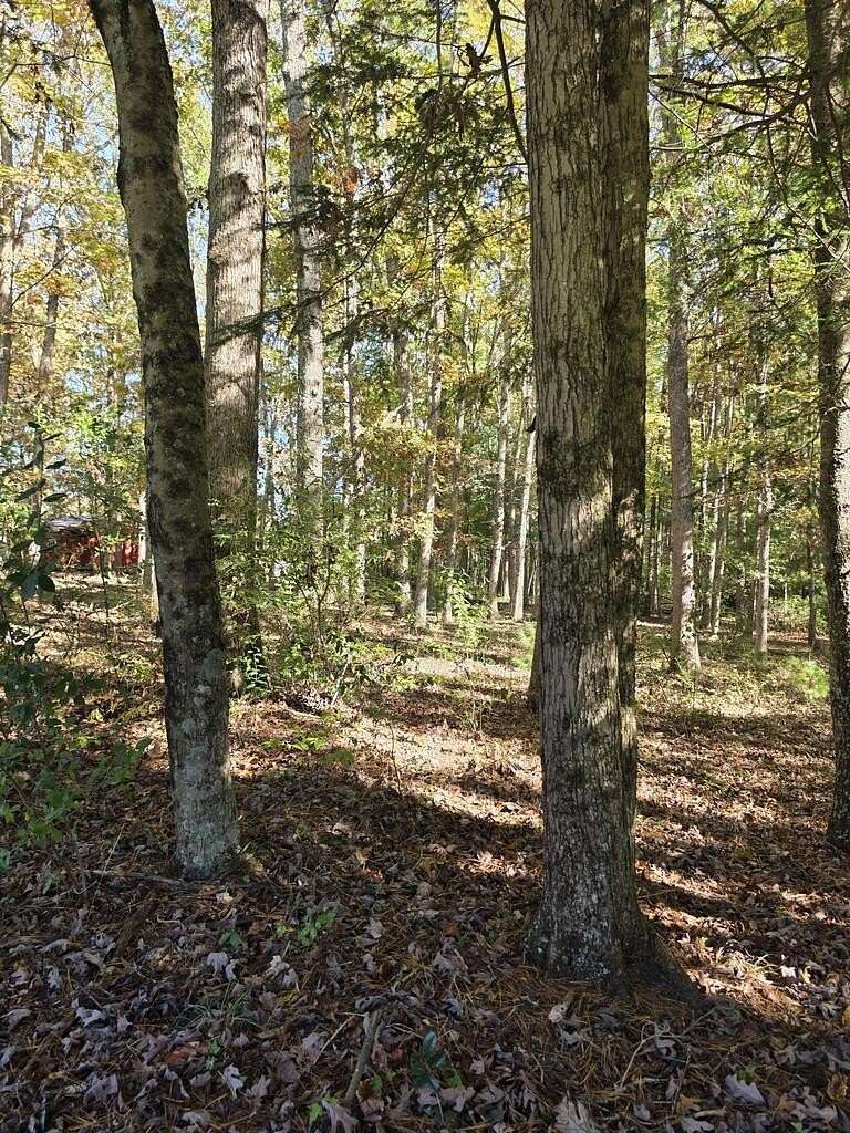 1.23 Acres of Residential Land for Sale in Shady Spring, West Virginia