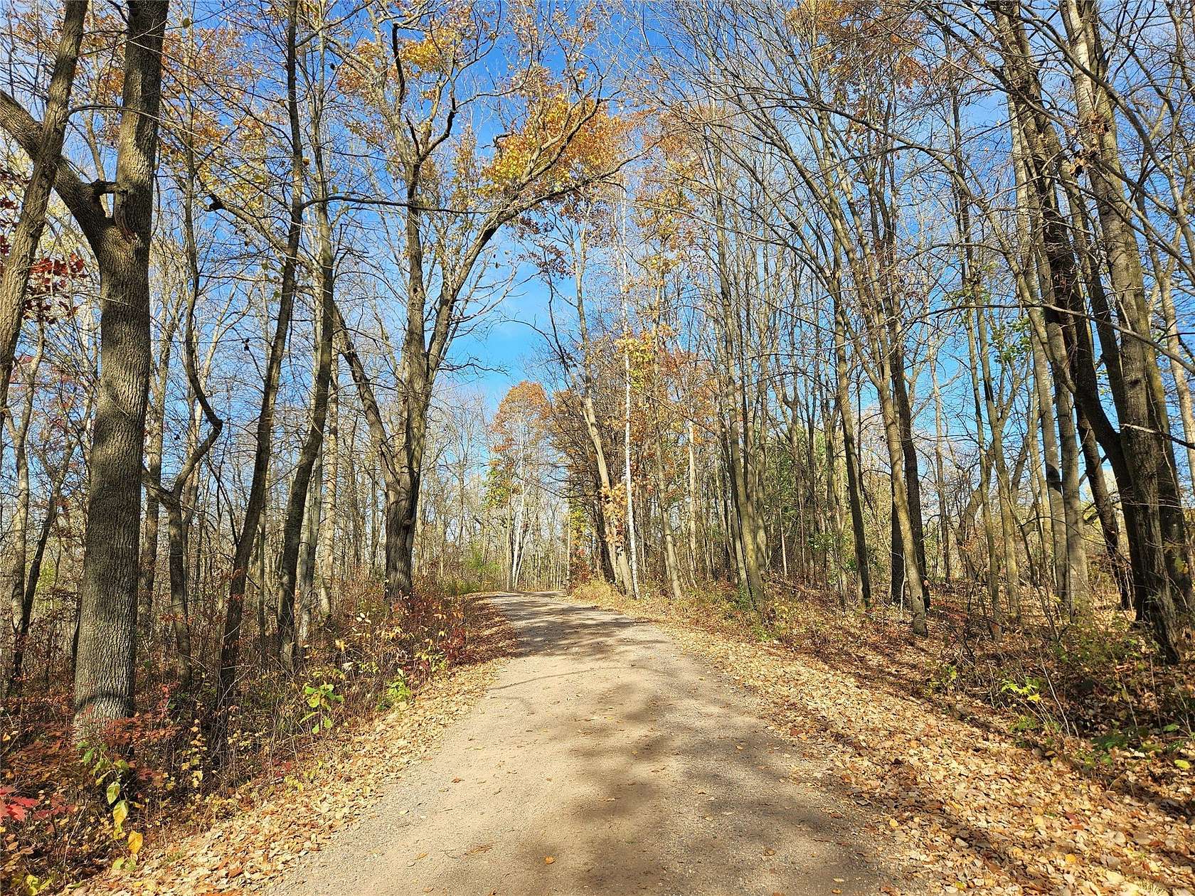 49 Acres of Recreational & Residential Land for Sale in Cameron, Wisconsin