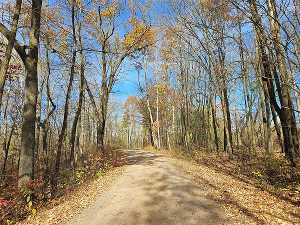 49 Acres of Recreational & Residential Land for Sale in Cameron, Wisconsin