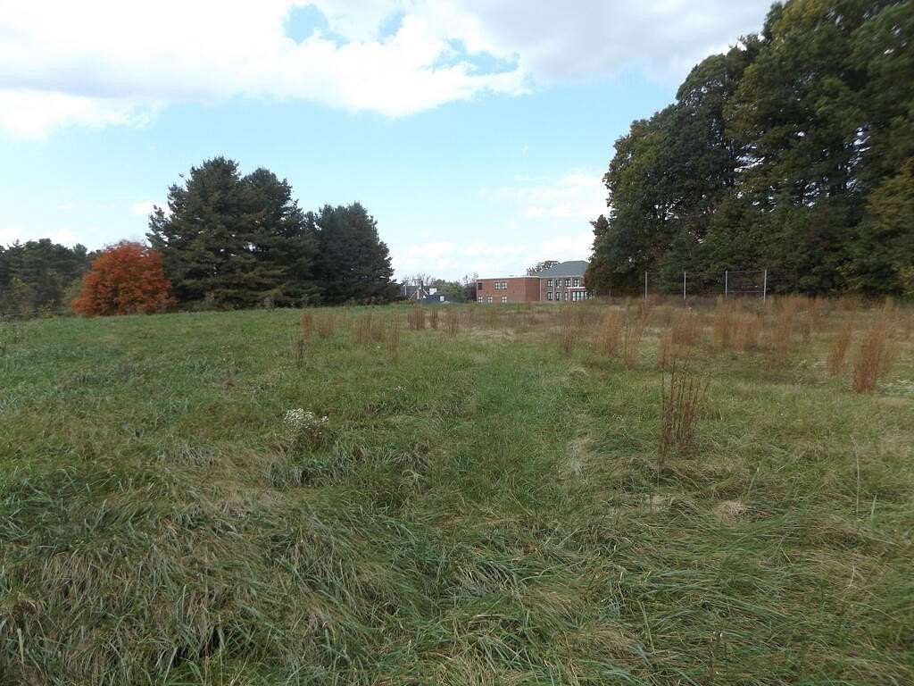 4.86 Acres of Residential Land for Sale in Woodlawn, Virginia