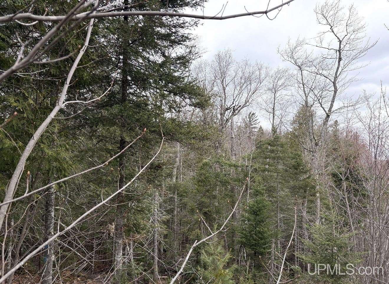 120 Acres of Recreational Land for Sale in Champion, Michigan