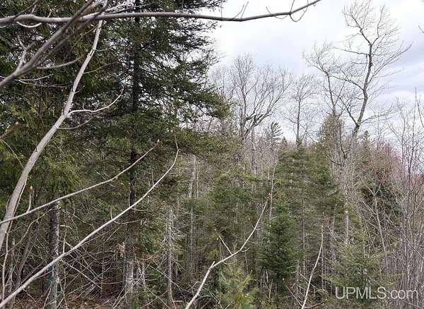 120 Acres of Recreational Land for Sale in Champion, Michigan
