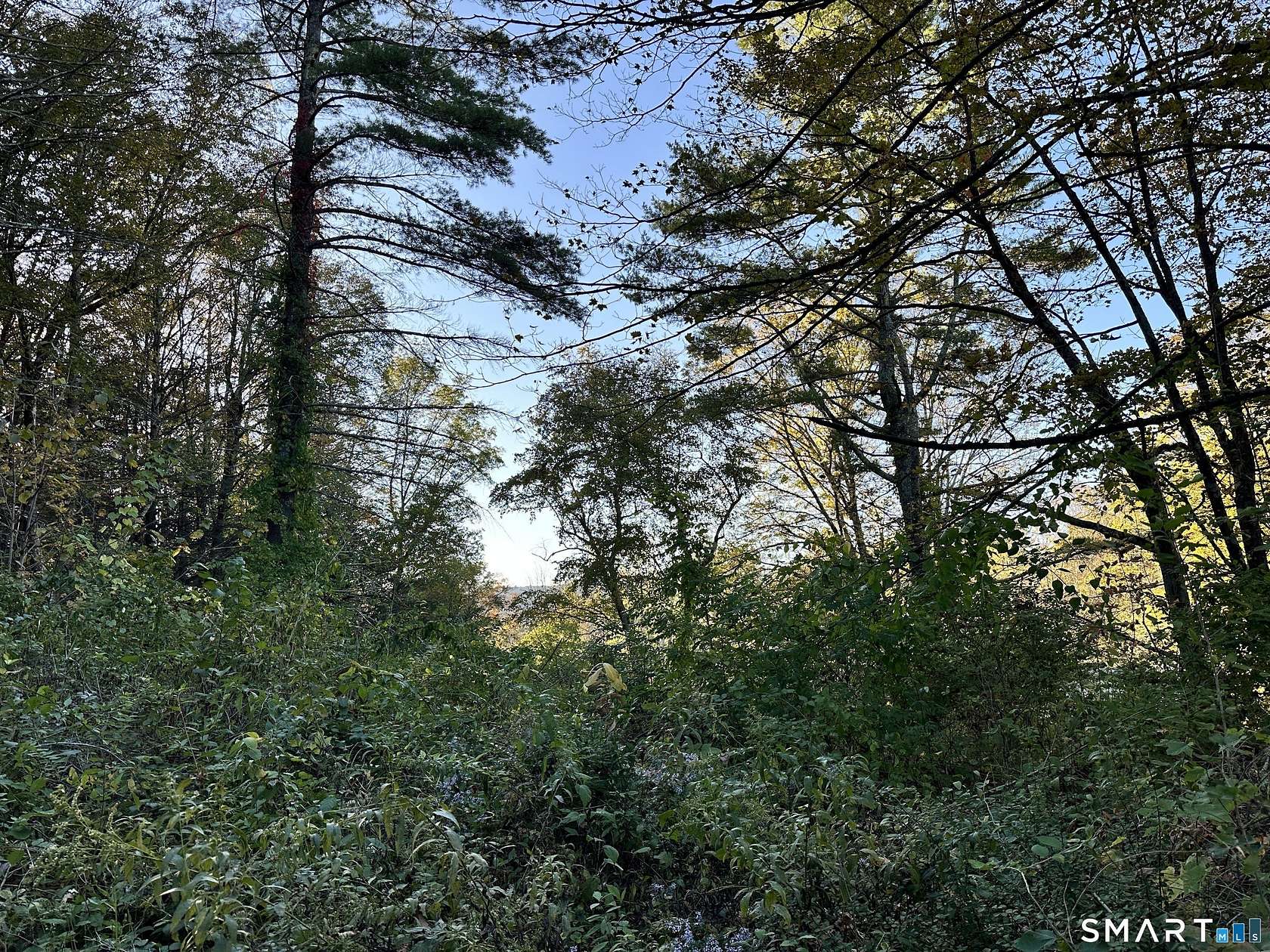 2 Acres of Residential Land for Sale in Salisbury, Connecticut
