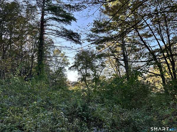 2 Acres of Residential Land for Sale in Salisbury, Connecticut