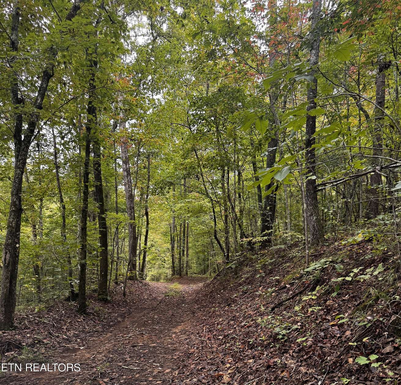 112 Acres of Recreational & Residential Land for Sale in Kingston, Tennessee