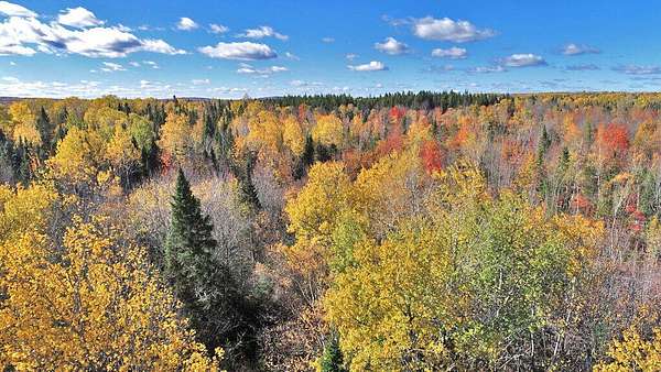 6 Acres of Land for Sale in Ludlow, Maine