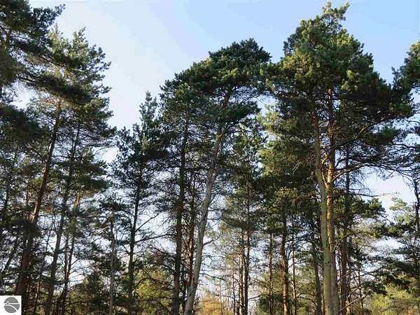 10.6 Acres of Land for Sale in Fife Lake, Michigan