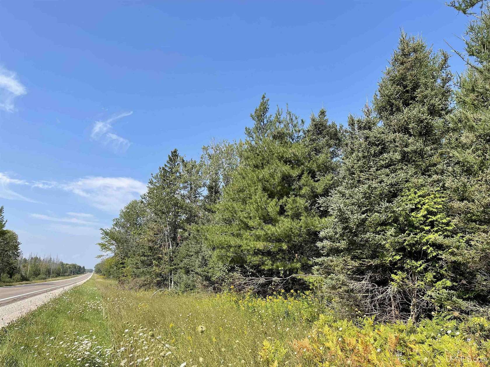 80 Acres of Recreational & Residential Land for Sale in Skandia, Michigan
