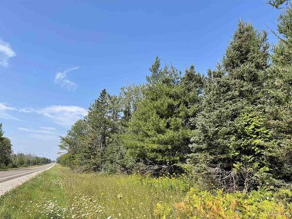 80 Acres of Recreational & Residential Land for Sale in Skandia, Michigan