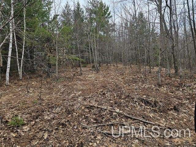 40 Acres of Recreational Land for Sale in Ishpeming, Michigan