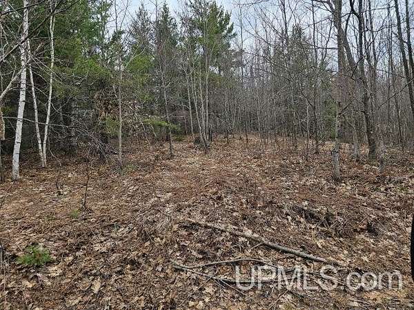 40 Acres of Recreational Land for Sale in Ishpeming, Michigan