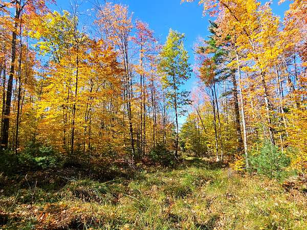 75 Acres of Recreational & Residential Land for Sale in Peru, Maine