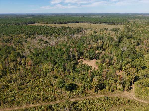 40 Acres of Recreational Land for Sale in Flatwood, Alabama
