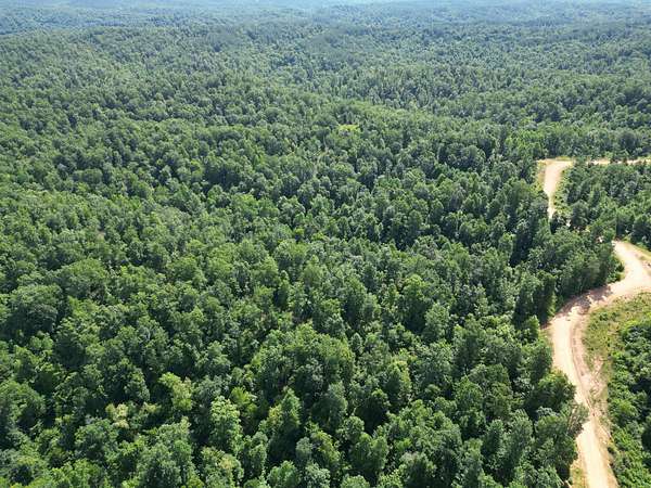 77.9 Acres of Recreational Land for Sale in Linden, Tennessee