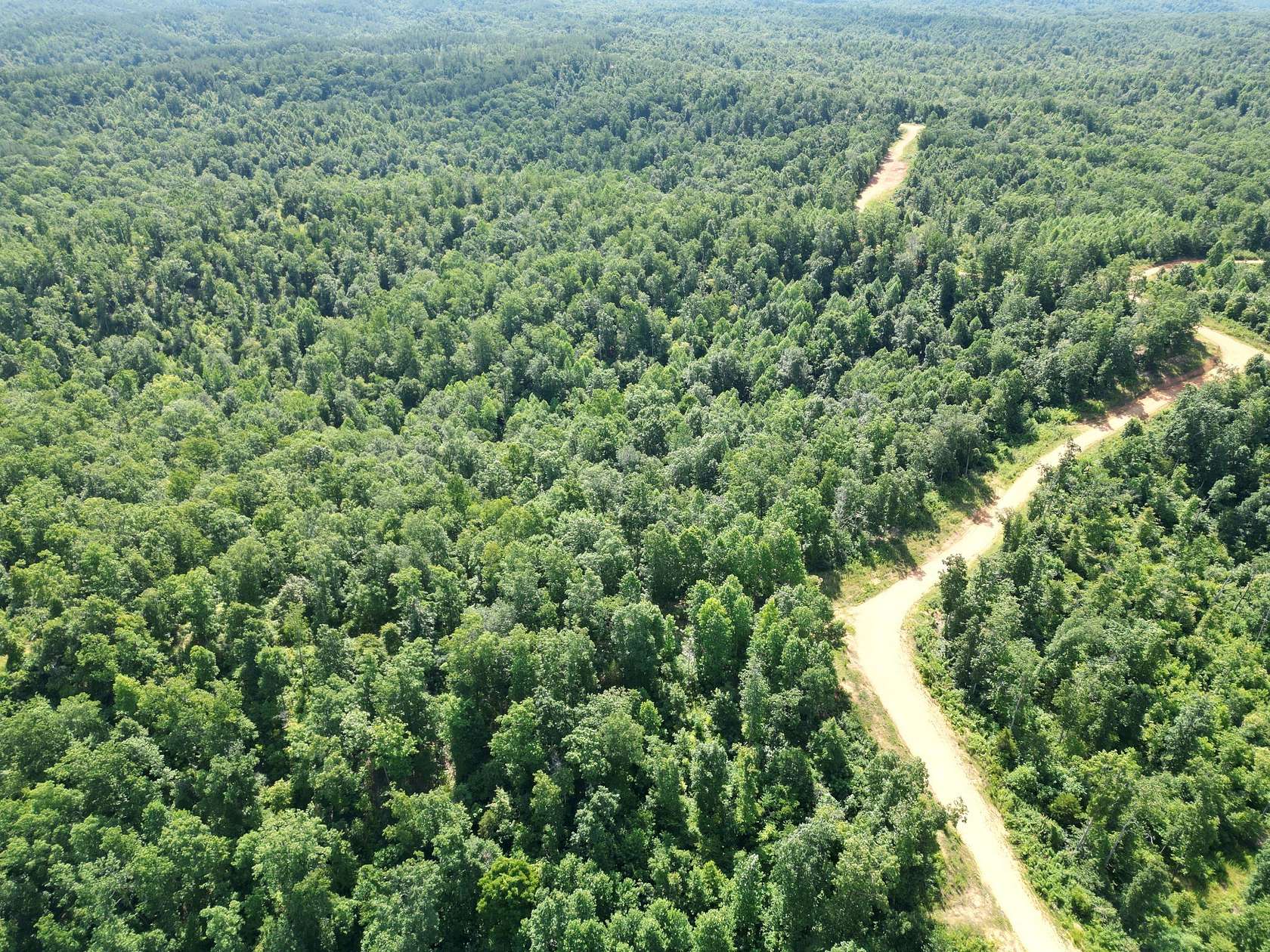 110 Acres of Recreational Land for Sale in Linden, Tennessee