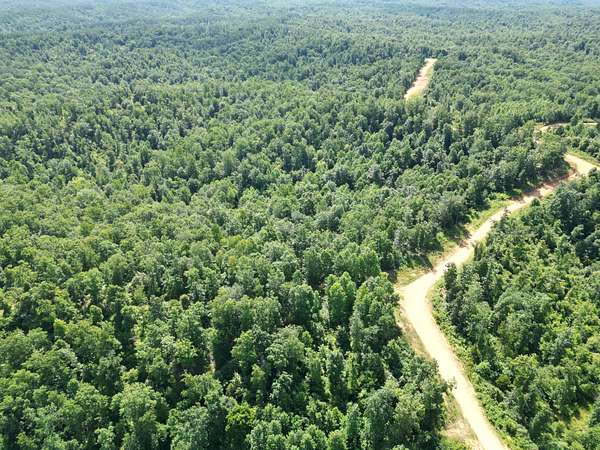 110 Acres of Recreational Land for Sale in Linden, Tennessee