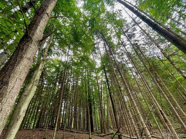 1 Acre of Residential Land for Sale in Marquette, Michigan