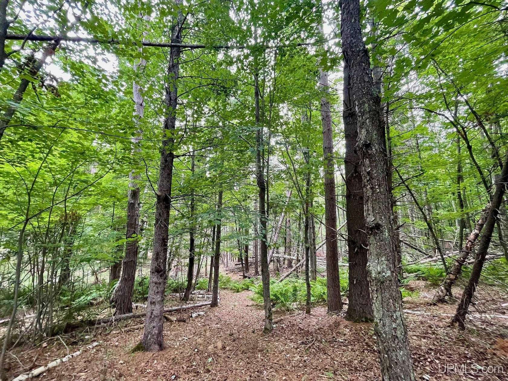 1 Acre of Residential Land for Sale in Marquette, Michigan