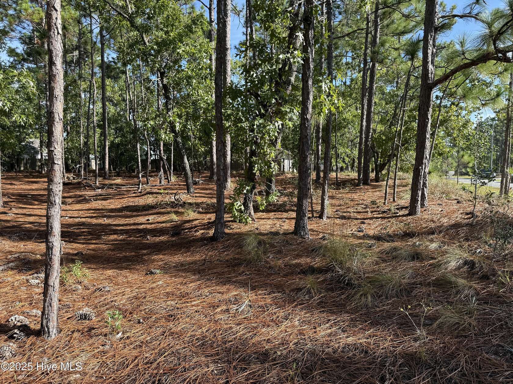 0.24 Acres of Residential Land for Sale in Southport, North Carolina