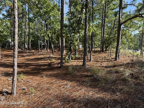 0.24 Acres of Residential Land for Sale in Southport, North Carolina