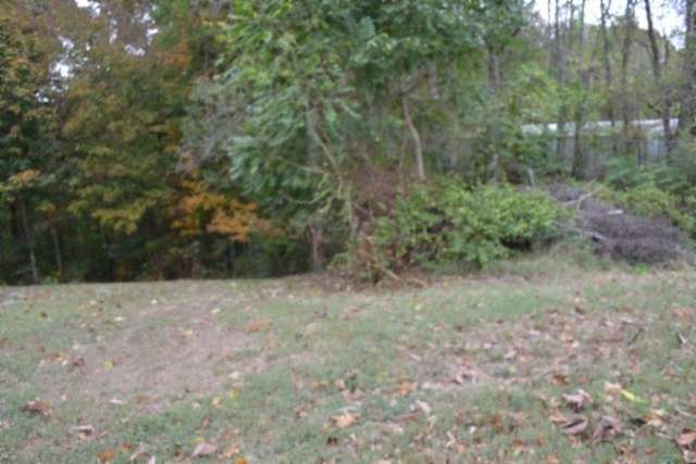 0.75 Acres of Residential Land for Sale in Celina, Tennessee