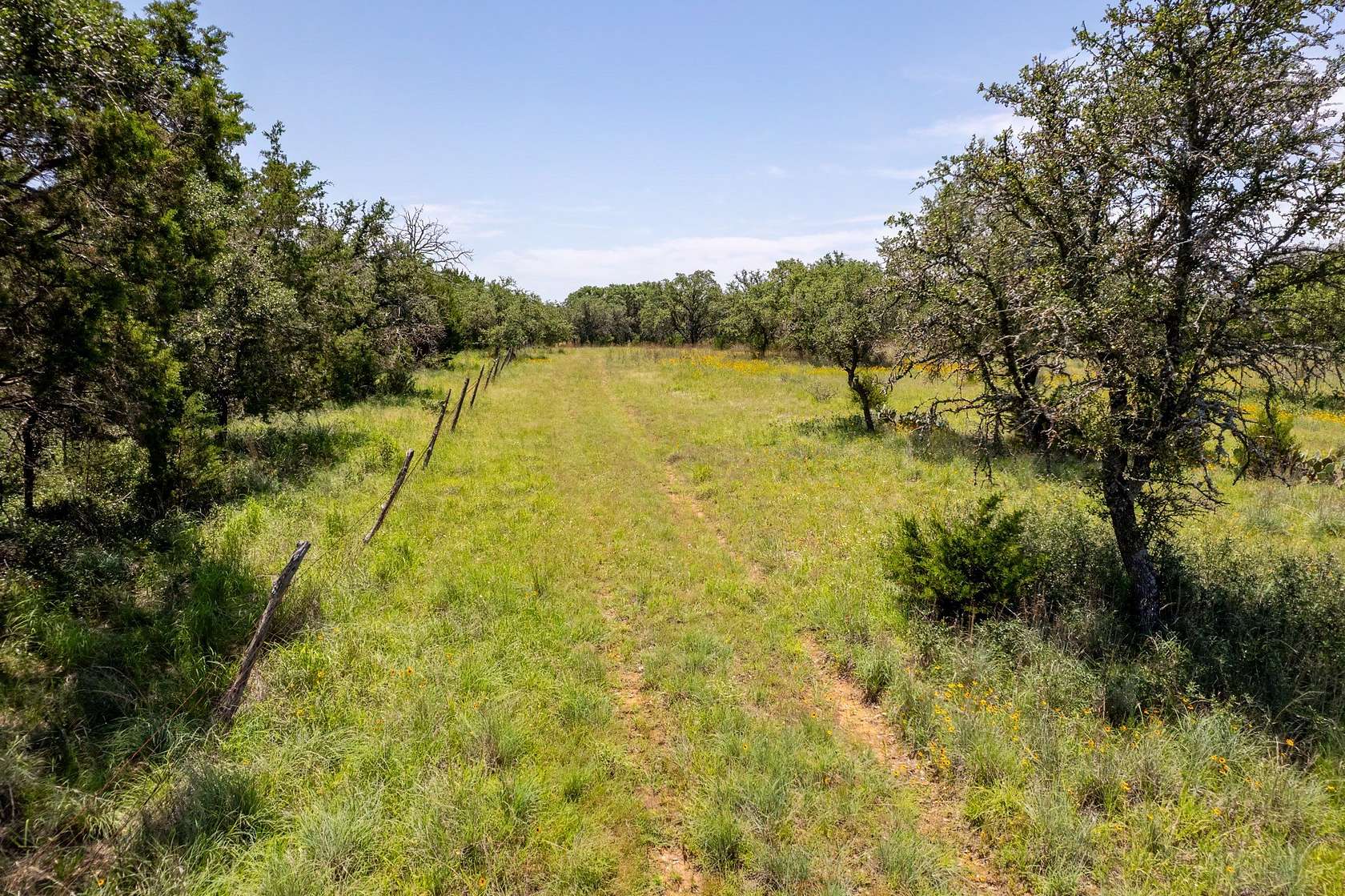 54 Acres of Land for Sale in Mullin, Texas