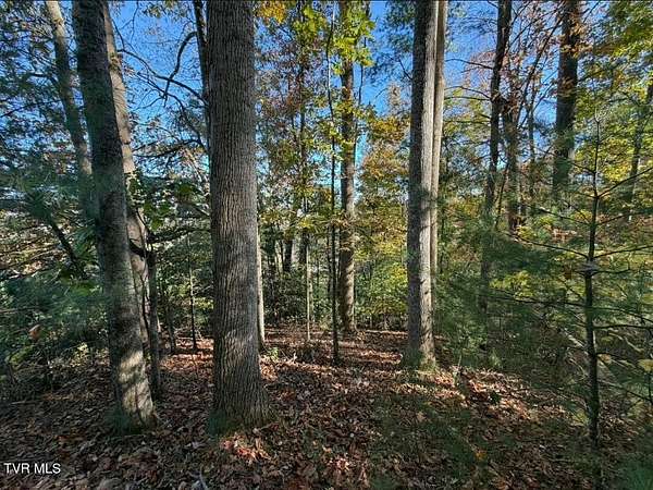 21.1 Acres of Land for Sale in Laurel Bloomery, Tennessee