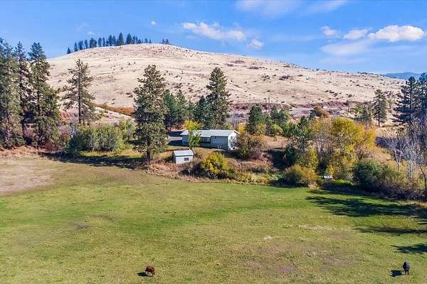 40 Acres of Land with Home for Sale in Fruitvale, Idaho