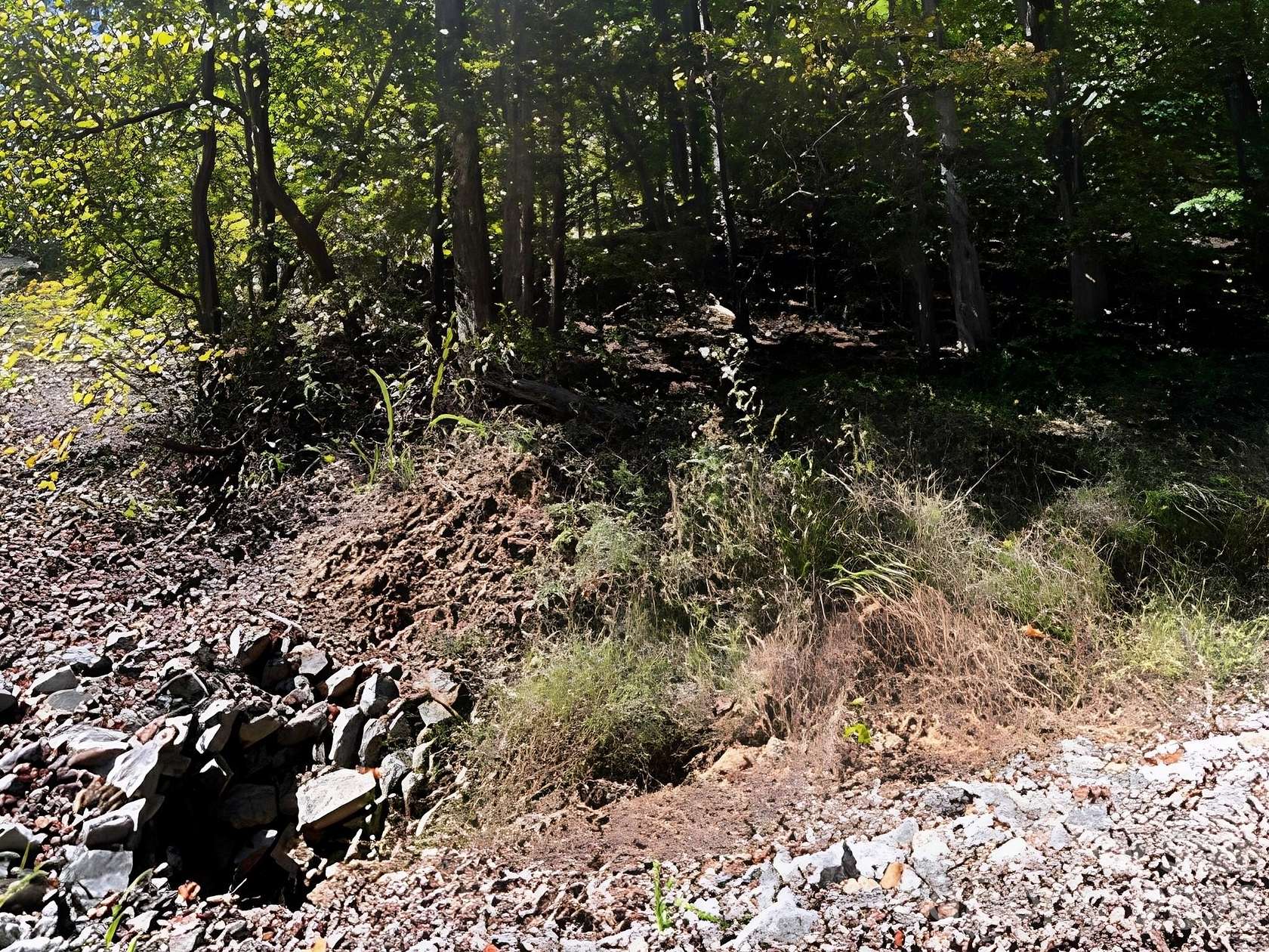 0.42 Acres of Land for Sale in Love Valley, North Carolina