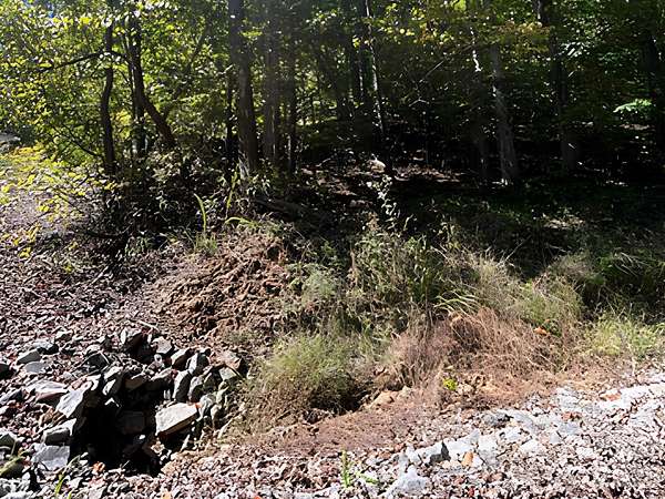 0.42 Acres of Land for Sale in Love Valley, North Carolina