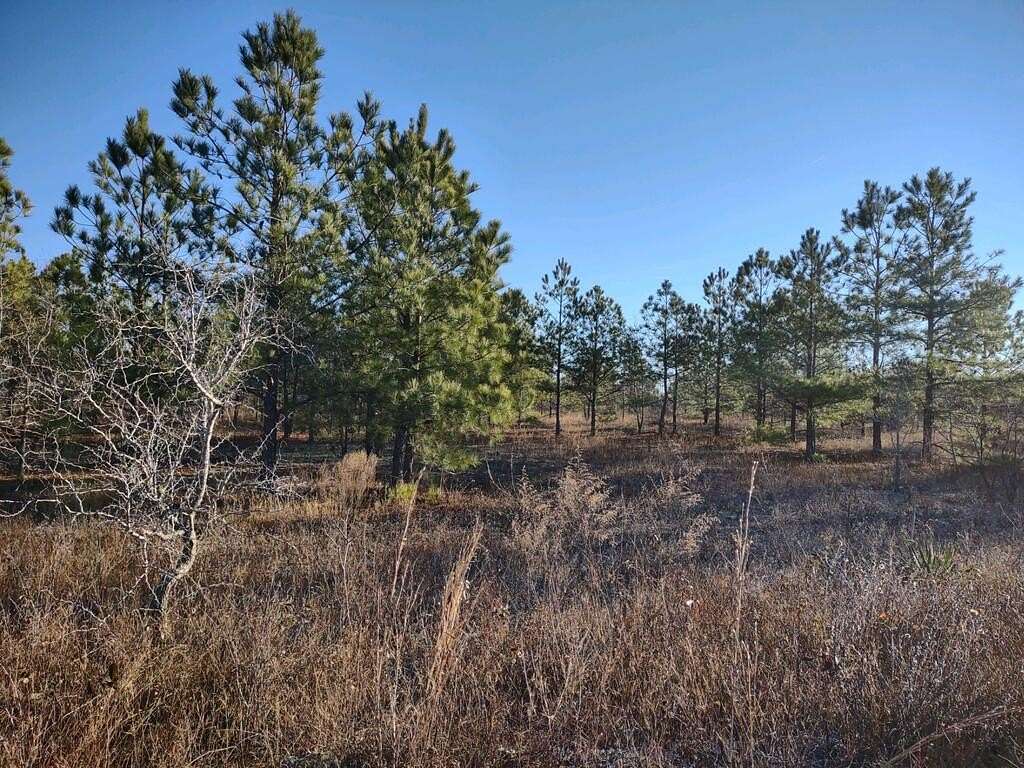18 Acres of Land for Sale in Buena Vista, Georgia
