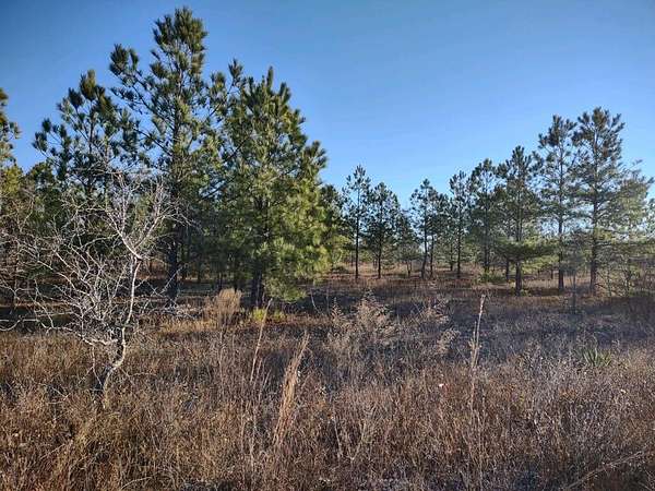 18 Acres of Land for Sale in Buena Vista, Georgia