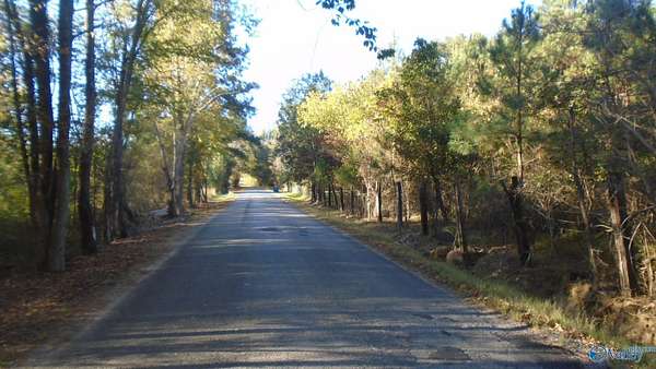 11.9 Acres of Land for Sale in Attalla, Alabama