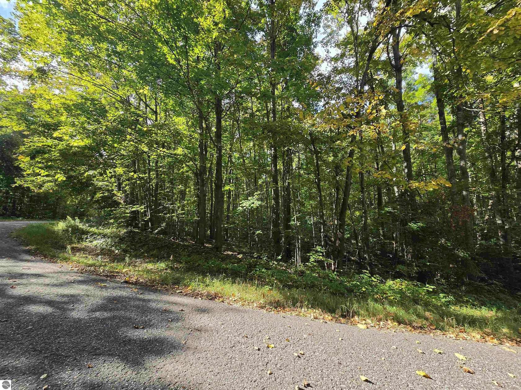 0.5 Acres of Residential Land for Sale in Elmira, Michigan
