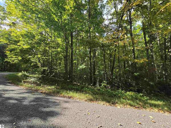0.5 Acres of Residential Land for Sale in Elmira, Michigan