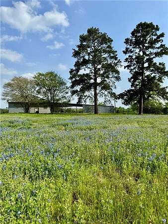 18.8 Acres of Land for Sale in College Station, Texas