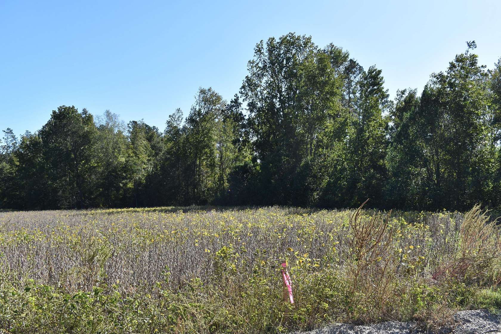 6 Acres of Land for Sale in Manning, South Carolina