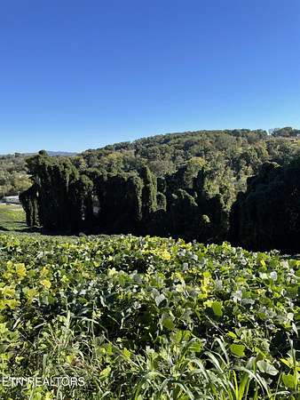 0.28 Acres of Residential Land for Sale in Morristown, Tennessee