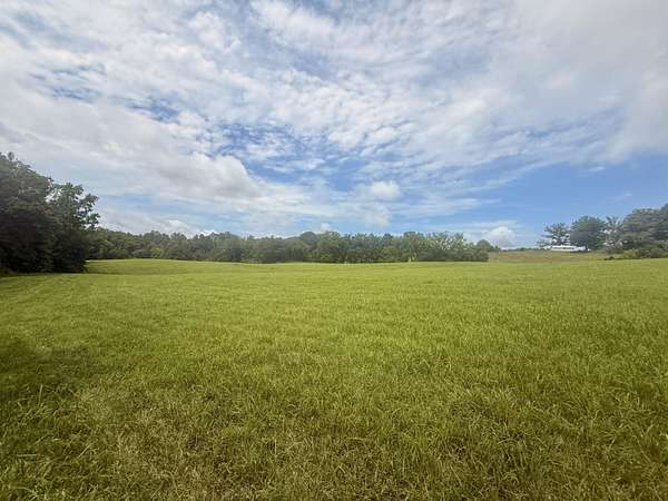 32 Acres of Land for Sale in Nancy, Kentucky