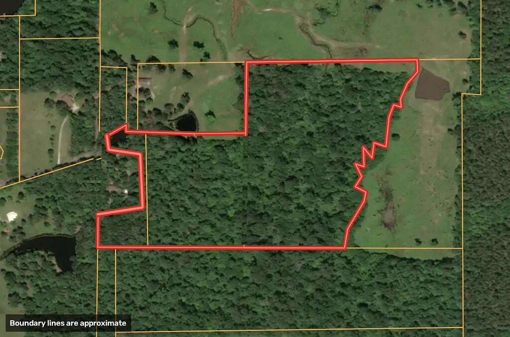 31.6 Acres of Recreational & Residential Land for Sale in Lufkin, Texas